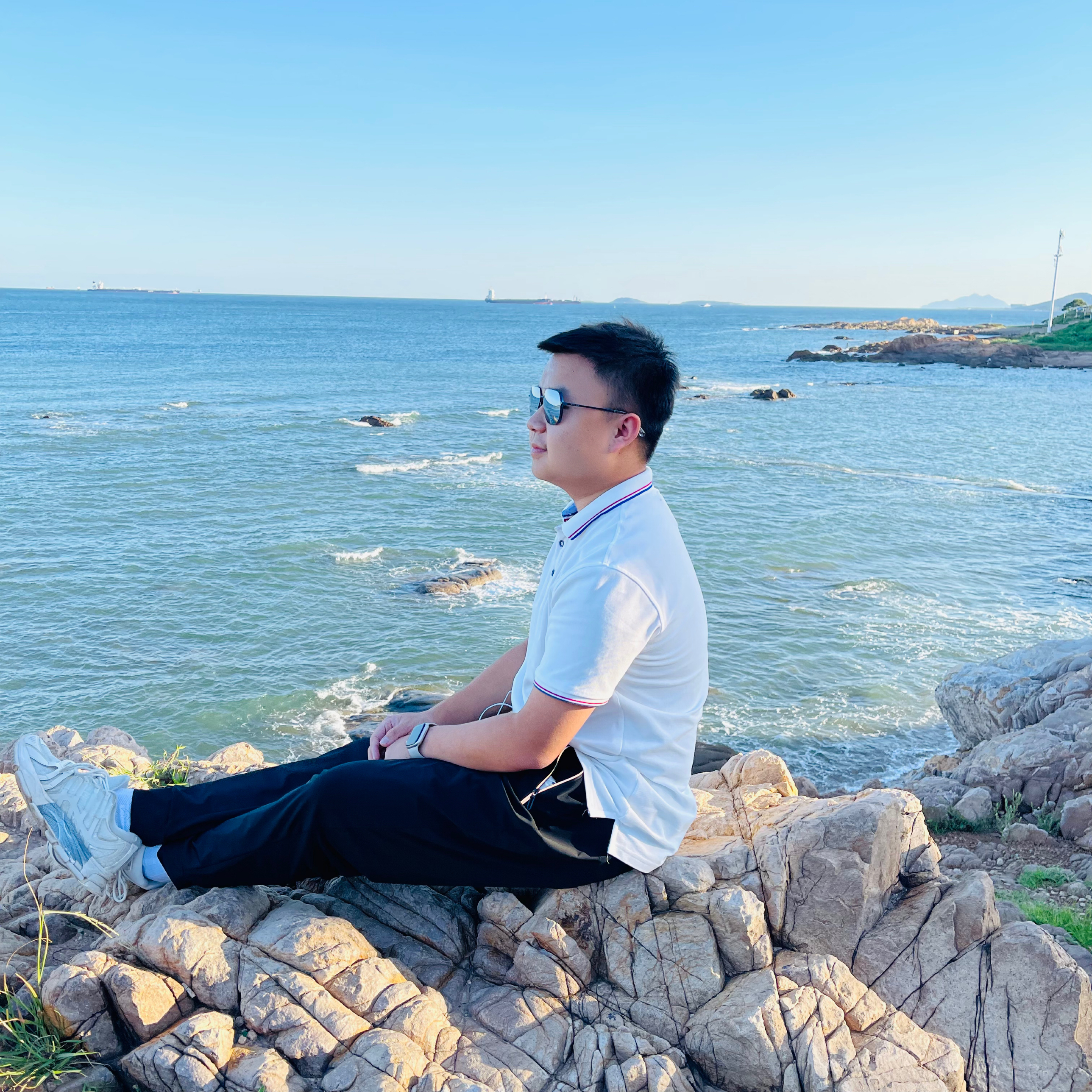 Chengyu Dong